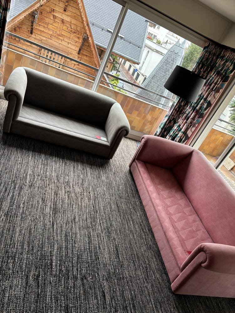 Canapés et moquette nettoyés