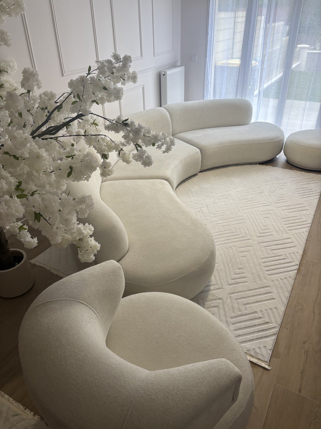 Canapé et tapis nettoyés