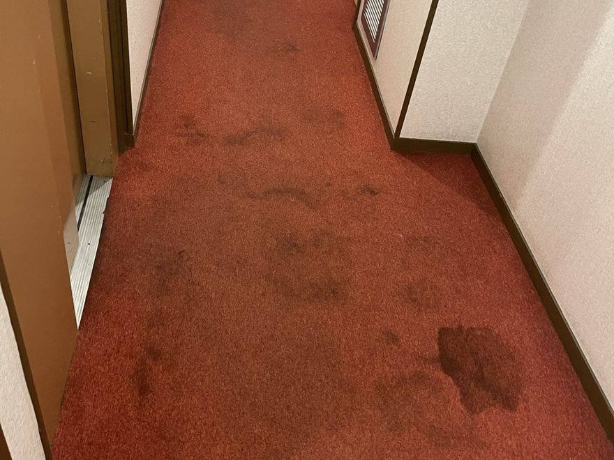 Moquette rouge tachée avant nettoyage à domicile, Paris et Île-de-France