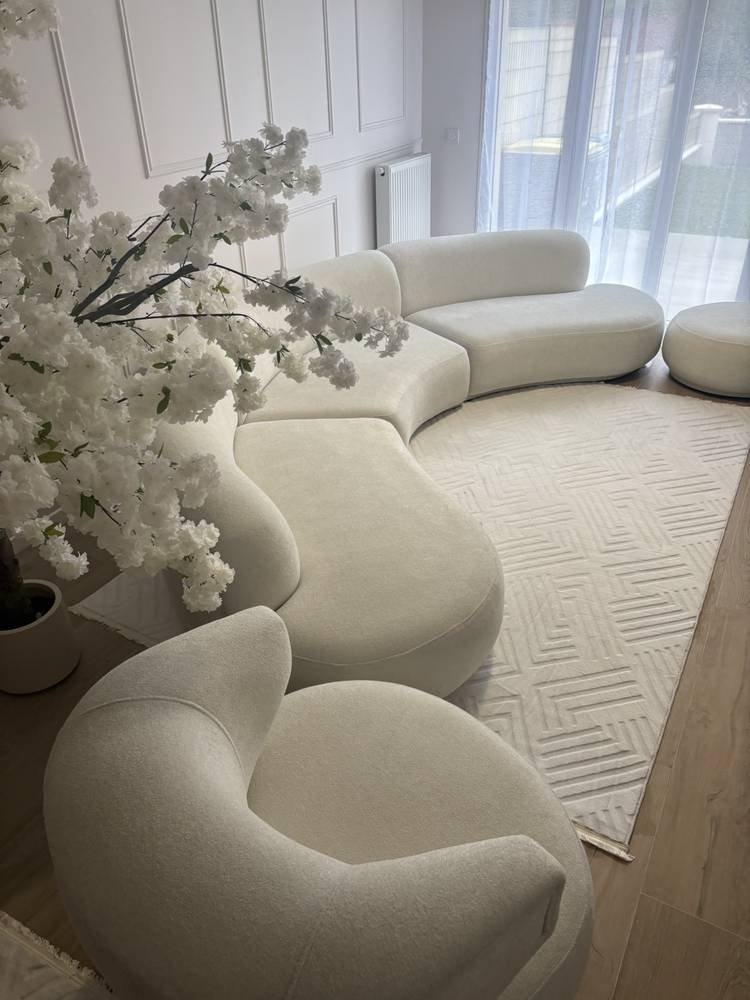 Canapé et tapis nettoyés